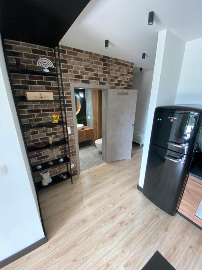 Apartament Delux Przy Wisle Lägenhet Krasków Exteriör bild
